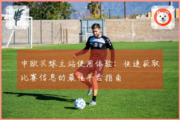中欧买球主站使用体验：快速获取比赛信息的最佳平台指南