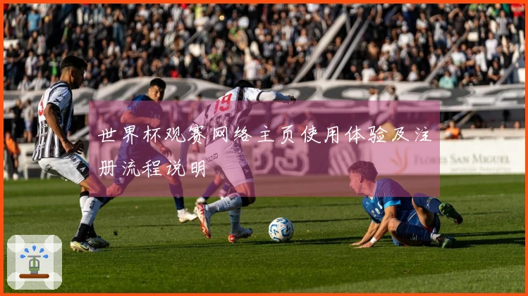 世界杯观赛网络主页使用体验及注册流程说明