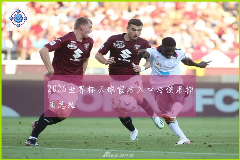 2026世界杯买球官方入口与使用指南总结