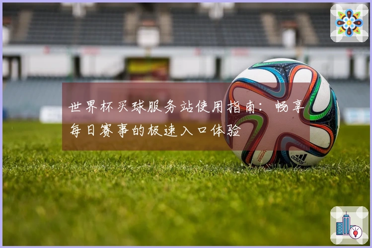 世界杯买球服务站使用指南：畅享每日赛事的极速入口体验