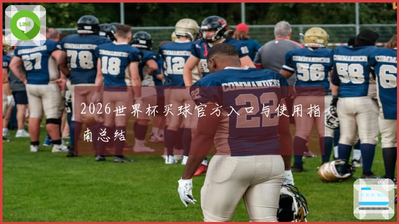 2026世界杯买球官方入口与使用指南总结
