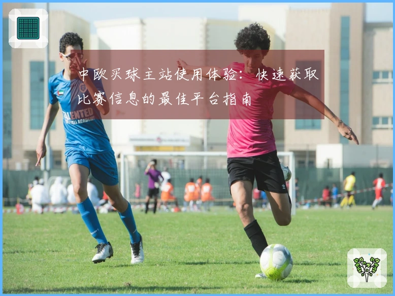 中欧买球主站使用体验：快速获取比赛信息的最佳平台指南